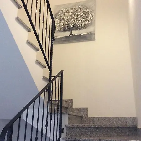 Le 3 Palme * Iglesias